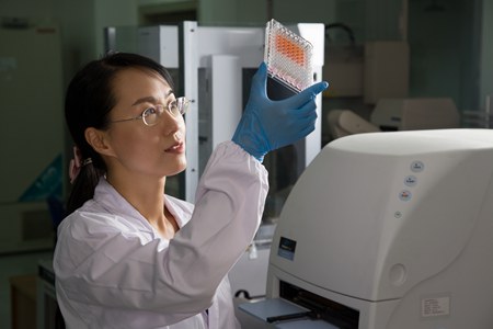 作为国家杰出青年基金获得者,谢欣两度担任科技部重大科学研究计划