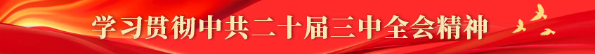 学习贯彻中共二十届三中全会精神
